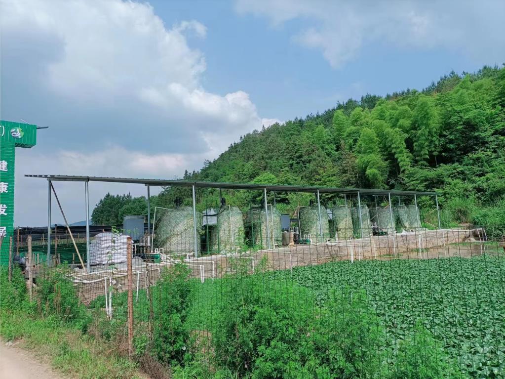 牛蛙養殖（zhí）汙（wū）水處理除磷加（jiā）藥